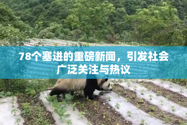 78个塞进的重磅新闻，引发社会广泛关注与热议