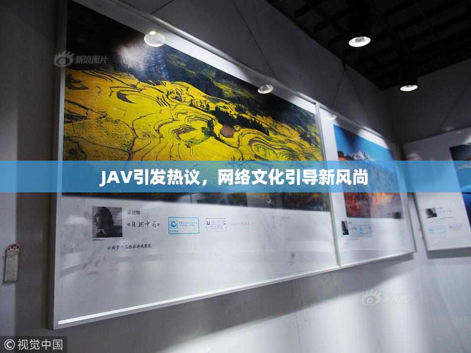 JAV引发热议，网络文化引导新风尚