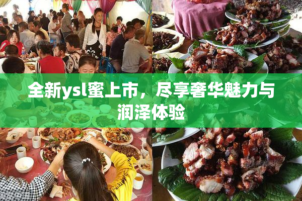 全新ysl蜜上市，尽享奢华魅力与润泽体验