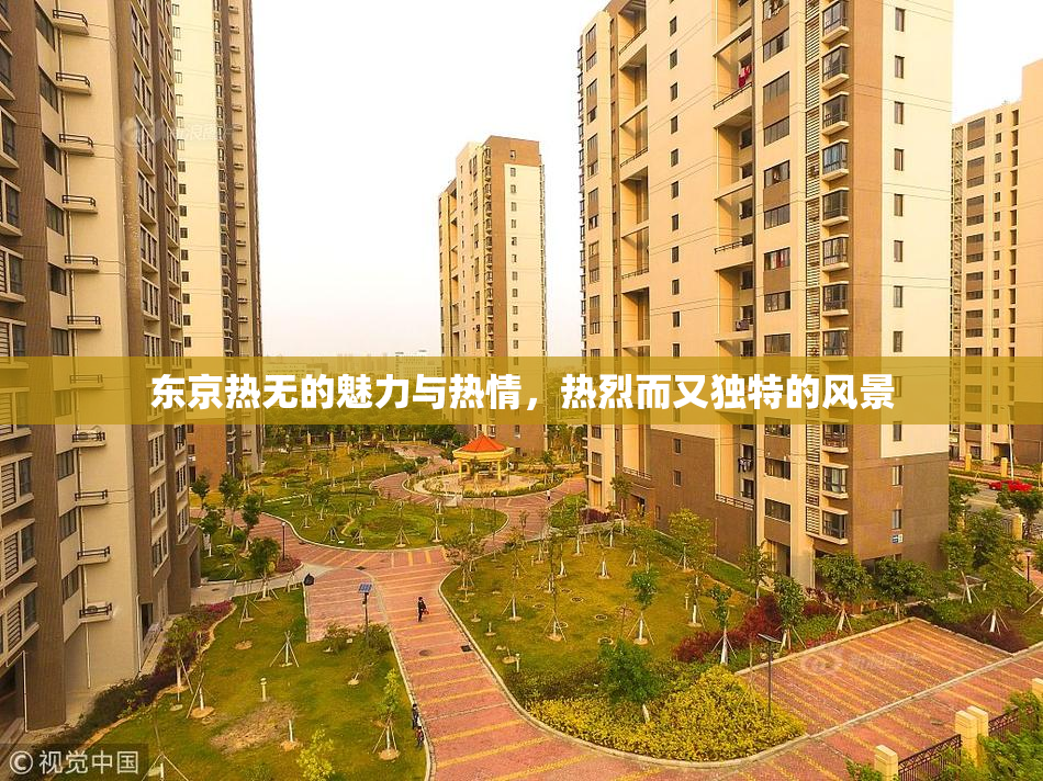 东京热无的魅力与热情，热烈而又独特的风景