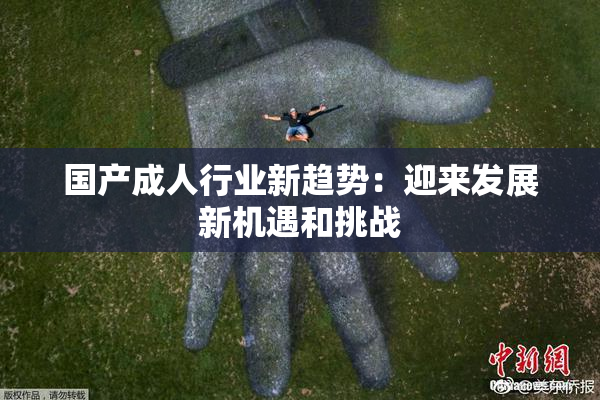国产成人行业新趋势：迎来发展新机遇和挑战