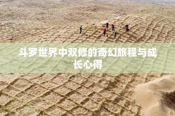 斗罗世界中双修的奇幻旅程与成长心得