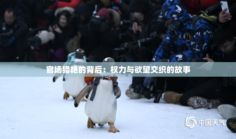 官场猎艳的背后：权力与欲望交织的故事