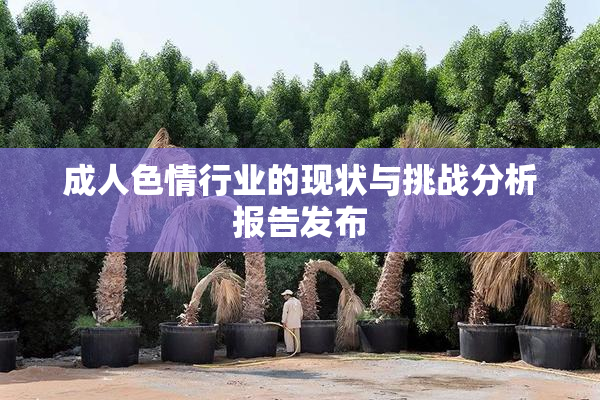 成人色情行业的现状与挑战分析报告发布