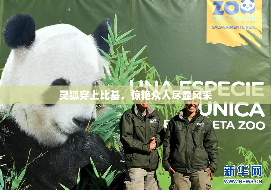 灵狐穿上比基，惊艳众人尽显风采