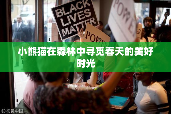 小熊猫在森林中寻觅春天的美好时光