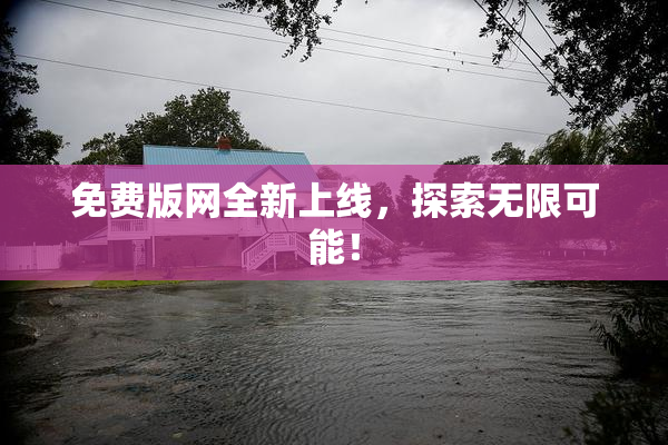 免费版网全新上线，探索无限可能！