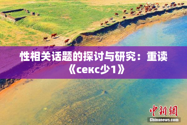性相关话题的探讨与研究：重读《секс少1》