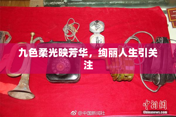 九色柔光映芳华，绚丽人生引关注