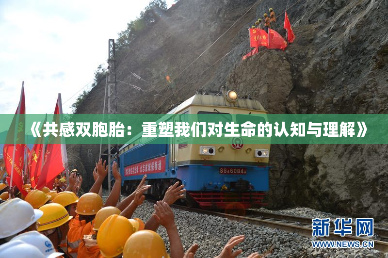 《共感双胞胎：重塑我们对生命的认知与理解》