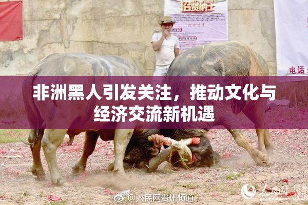 非洲黑人引发关注，推动文化与经济交流新机遇