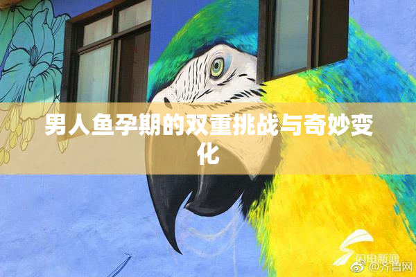 男人鱼孕期的双重挑战与奇妙变化