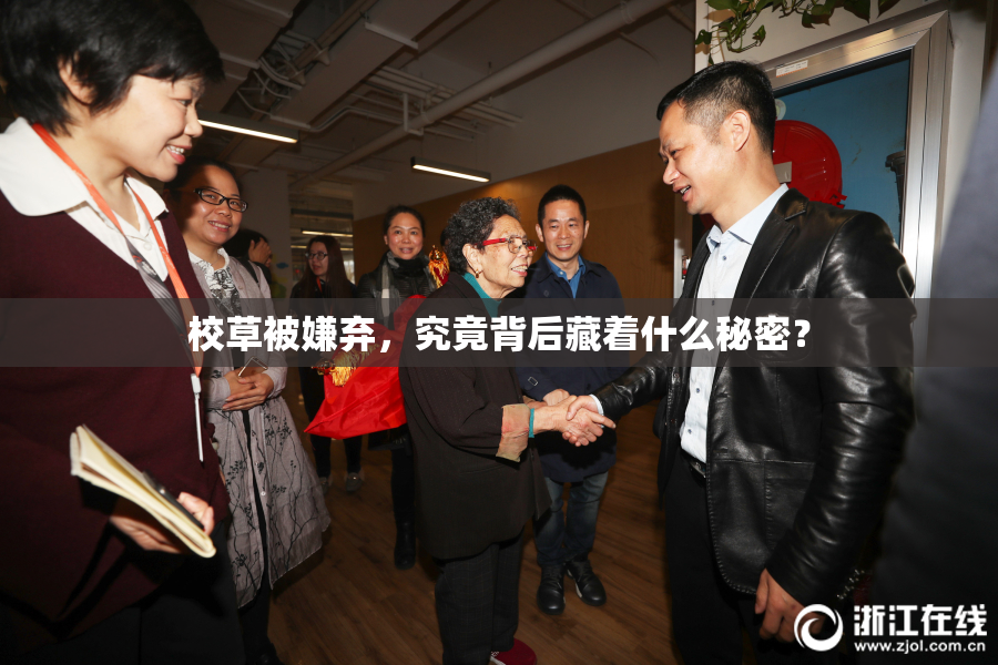 校草被嫌弃，究竟背后藏着什么秘密？