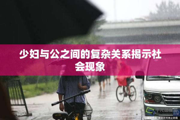 少妇与公之间的复杂关系揭示社会现象