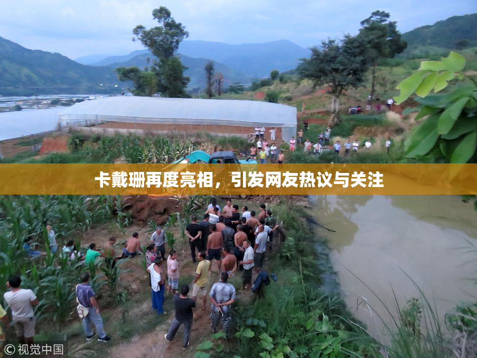 卡戴珊再度亮相，引发网友热议与关注