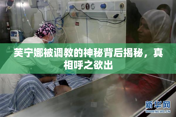 芙宁娜被调教的神秘背后揭秘，真相呼之欲出