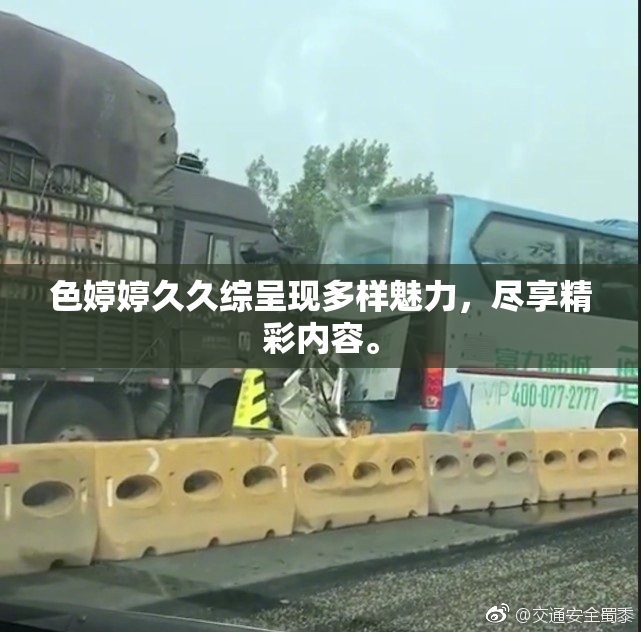 色婷婷久久综呈现多样魅力，尽享精彩内容。
