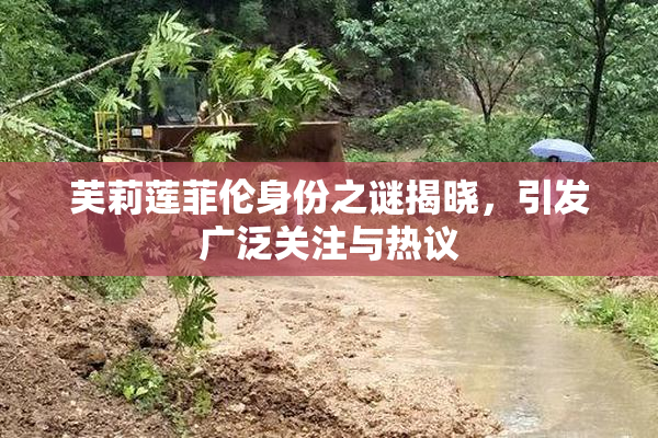 芙莉莲菲伦身份之谜揭晓，引发广泛关注与热议