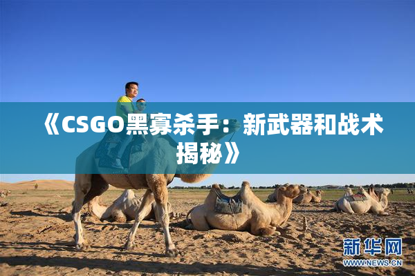 《CSGO黑寡杀手：新武器和战术揭秘》