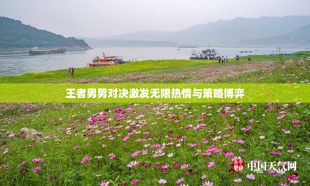 王者男男对决激发无限热情与策略博弈