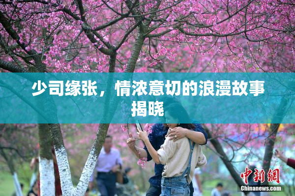 少司缘张，情浓意切的浪漫故事揭晓