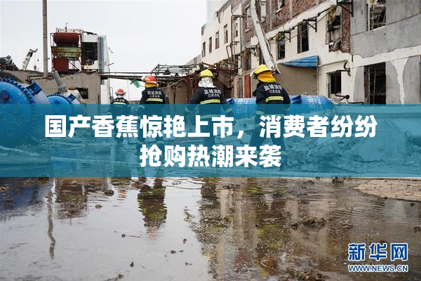 国产香蕉惊艳上市，消费者纷纷抢购热潮来袭
