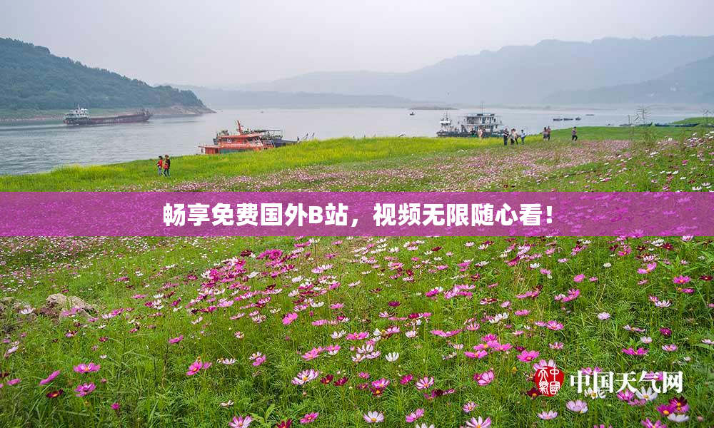 畅享免费国外B站，视频无限随心看！