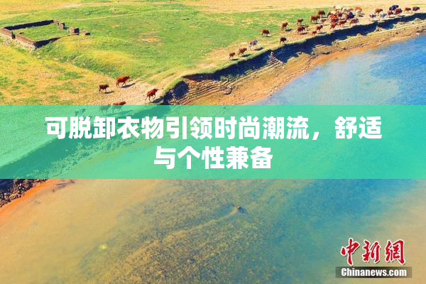 可脱卸衣物引领时尚潮流，舒适与个性兼备