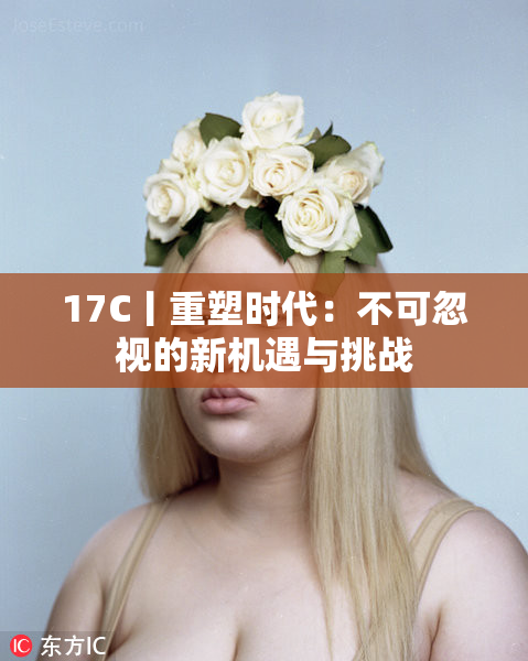 17C丨重塑时代：不可忽视的新机遇与挑战