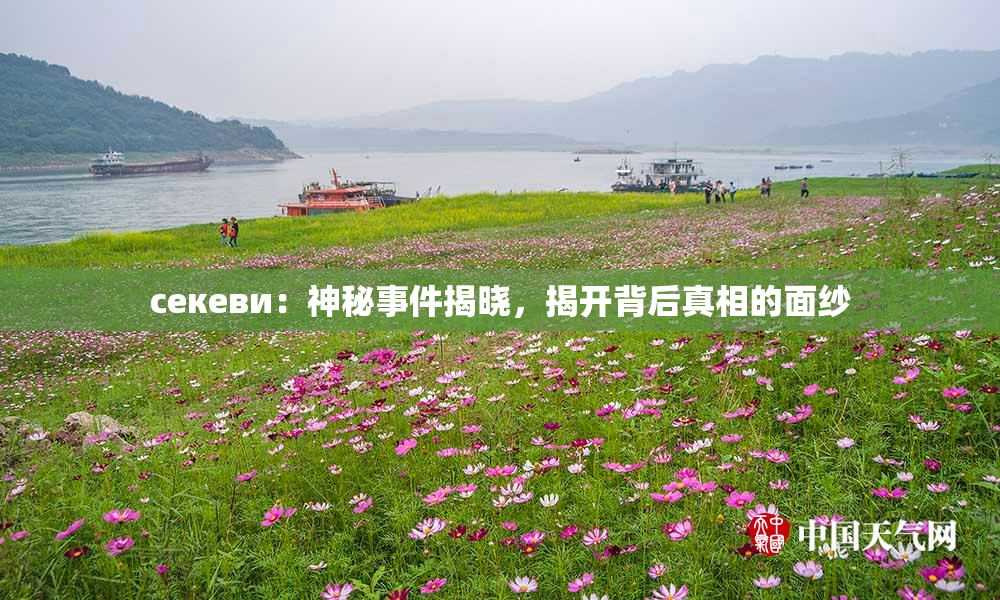 ceкеви：神秘事件揭晓，揭开背后真相的面纱
