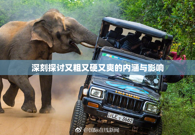 深刻探讨又粗又硬又爽的内涵与影响