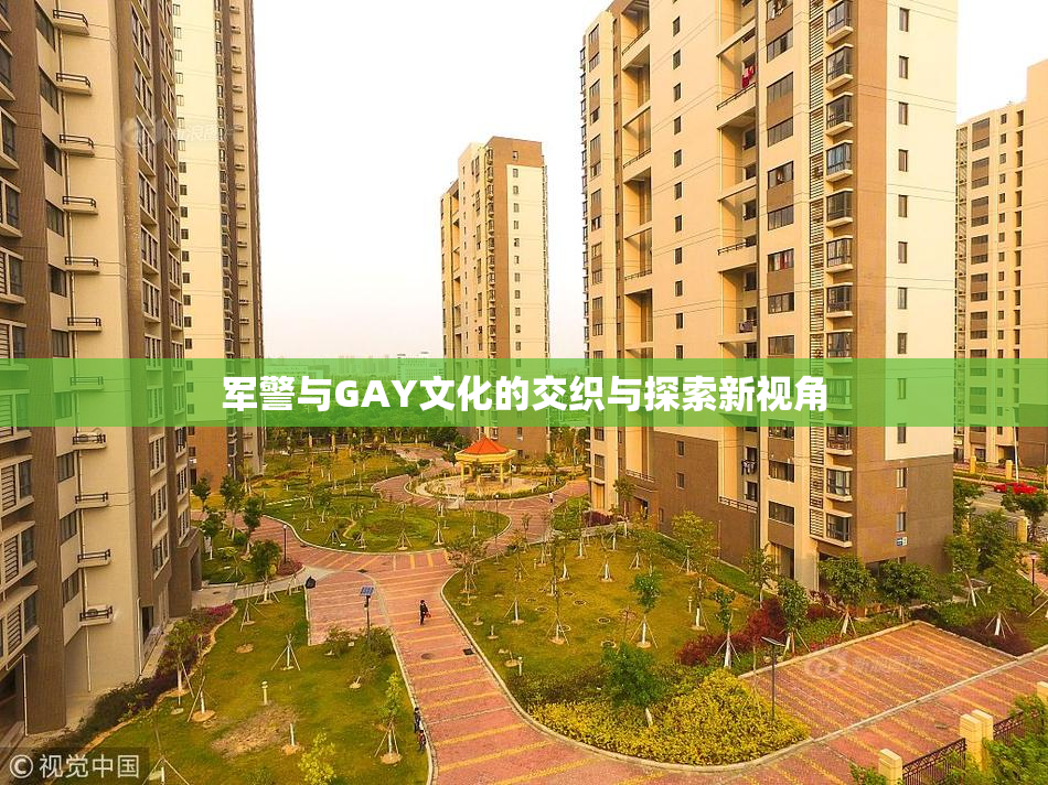 军警与GAY文化的交织与探索新视角