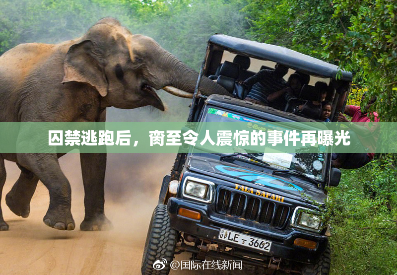 囚禁逃跑后，脔至令人震惊的事件再曝光