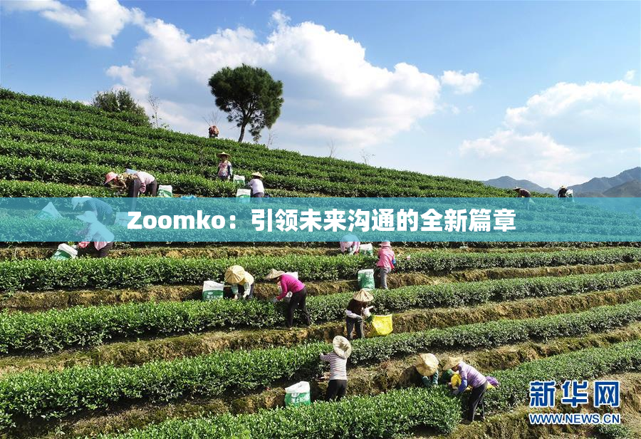 Zoomko：引领未来沟通的全新篇章