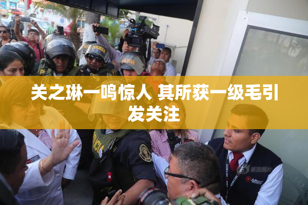 关之琳一鸣惊人 其所获一级毛引发关注