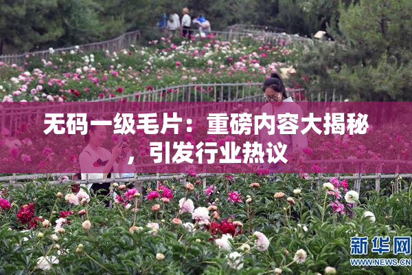 无码一级毛片：重磅内容大揭秘，引发行业热议