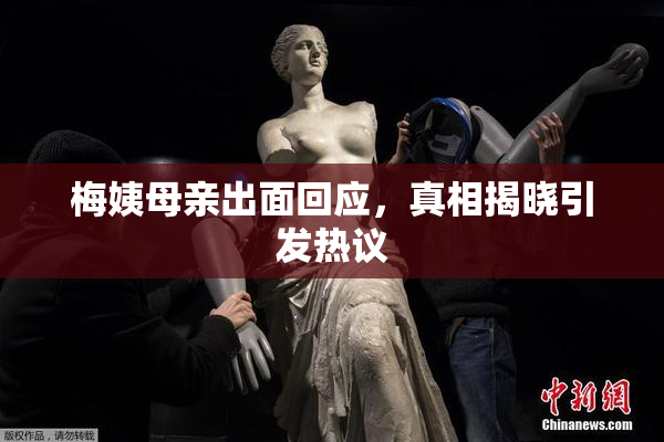 梅姨母亲出面回应，真相揭晓引发热议