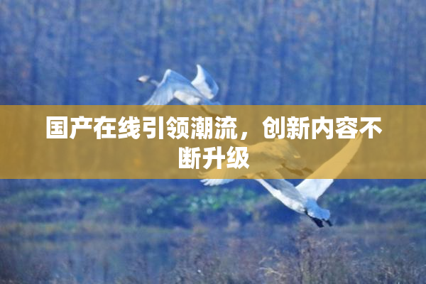国产在线引领潮流，创新内容不断升级