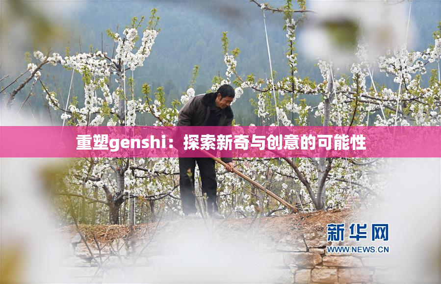 重塑genshi：探索新奇与创意的可能性