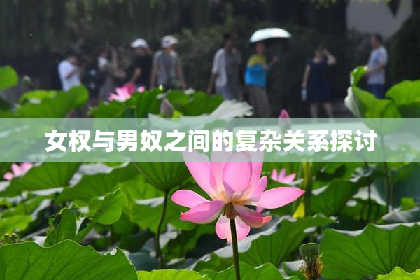 女权与男奴之间的复杂关系探讨