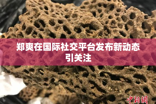 郑爽在国际社交平台发布新动态引关注