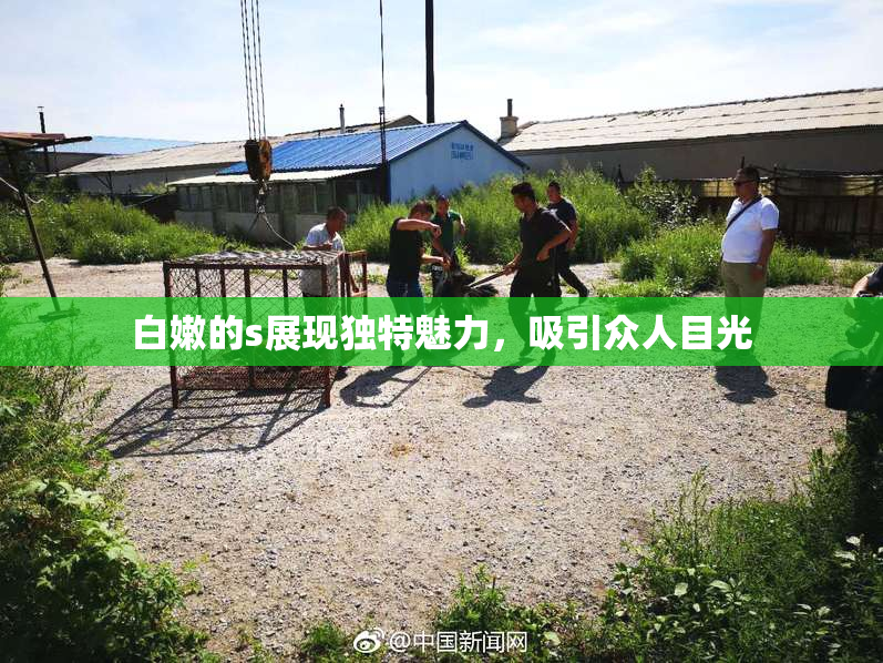 白嫩的s展现独特魅力，吸引众人目光