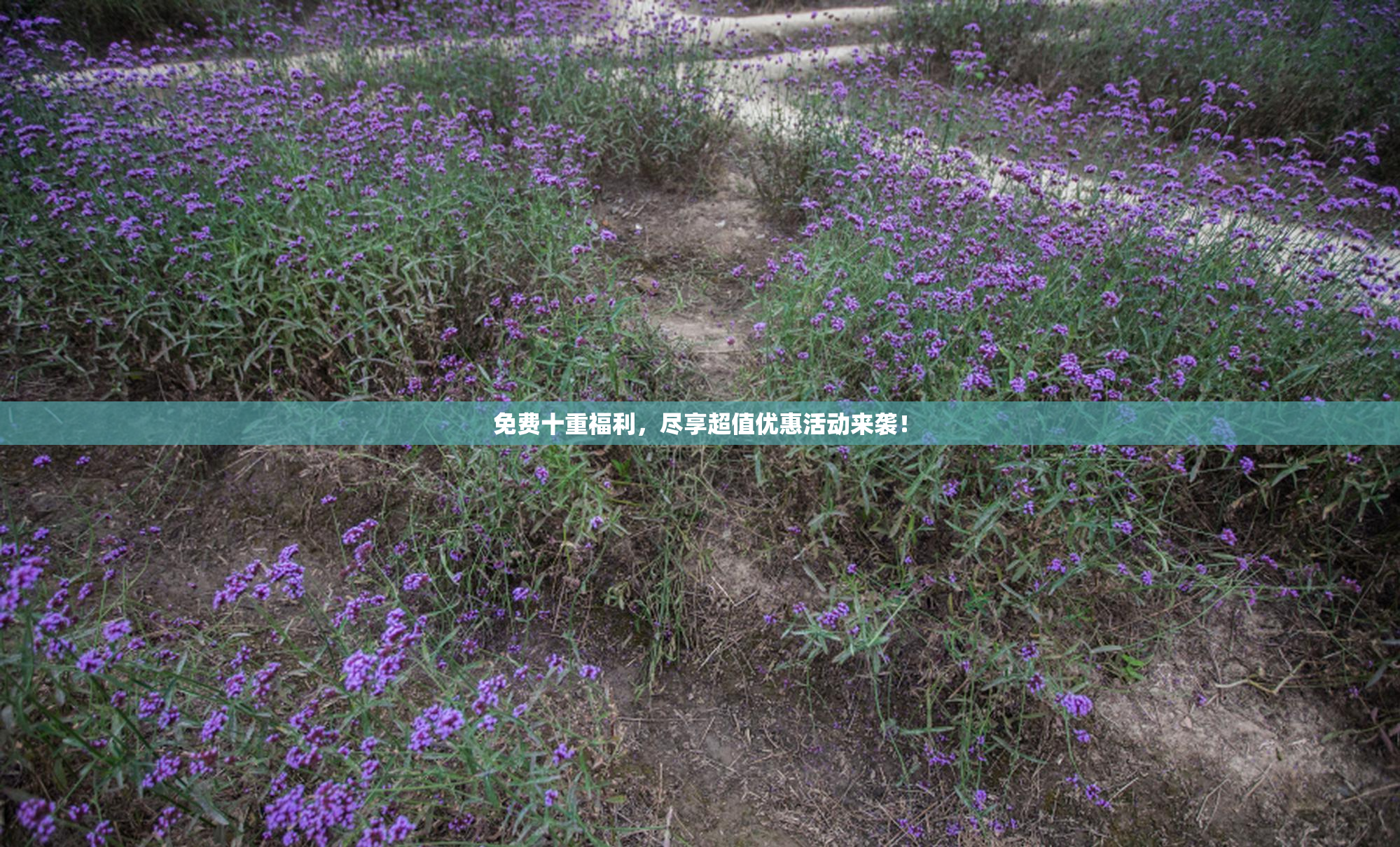 免费十重福利，尽享超值优惠活动来袭！