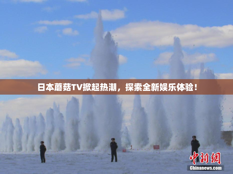 日本蘑菇TV掀起热潮，探索全新娱乐体验！