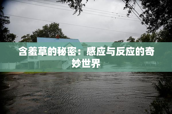 含羞草的秘密：感应与反应的奇妙世界