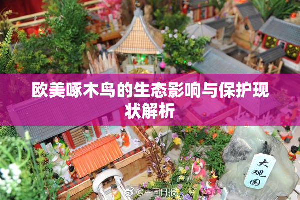 欧美啄木鸟的生态影响与保护现状解析