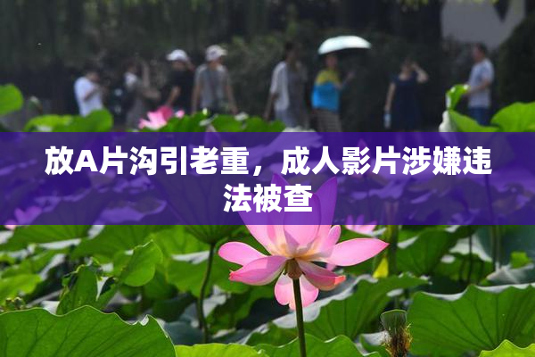 放A片沟引老重，成人影片涉嫌违法被查