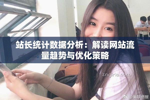 站长统计数据分析：解读网站流量趋势与优化策略