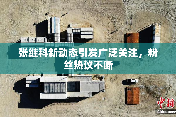 张继科新动态引发广泛关注，粉丝热议不断