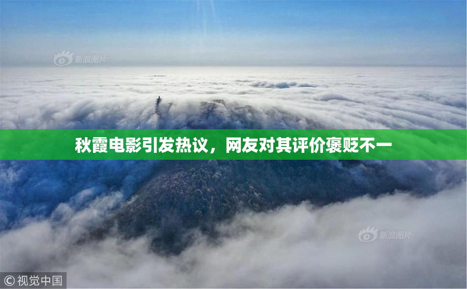 秋霞电影引发热议，网友对其评价褒贬不一